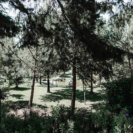Pensjonat Quinta Do Cerrado Setúbal Zewnętrze zdjęcie