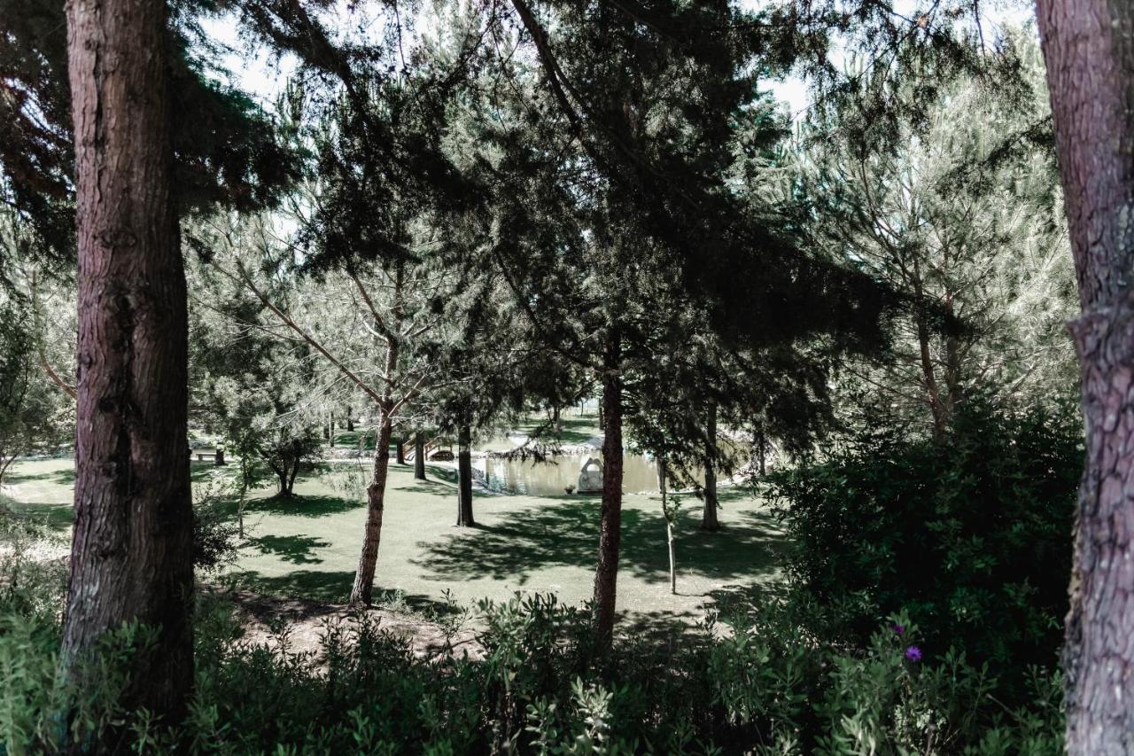 Pensjonat Quinta Do Cerrado Setúbal Zewnętrze zdjęcie