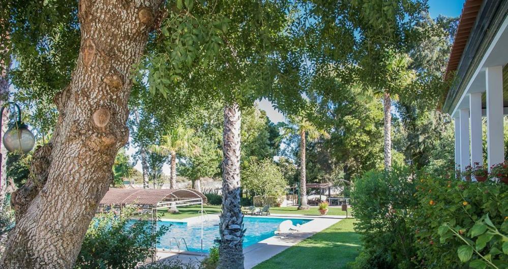 Pensjonat Quinta Do Cerrado Setúbal Zewnętrze zdjęcie